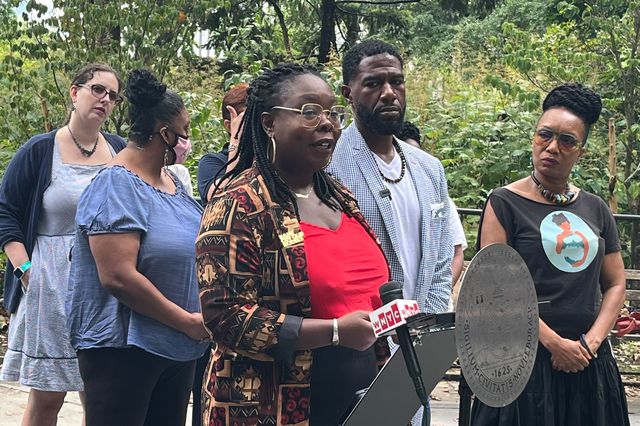 Councilmember Althea Stevens, one of the sponsors of the maternal health legislation, spoke at a press conference ahead of the vote Thursday. To her right are Public Advocate Jumaane Williams and activist Shawnee Benton Gibson.